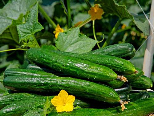 南京大瓜爆料视频最新,视频揭秘惊人内幕 第2张 南京大瓜爆料视频最新,视频揭秘惊人内幕 第2张